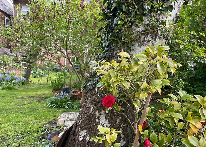 Ostegarten Apartmán Osten